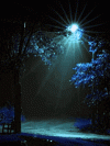 Src.1346317118671.gif.autoresize